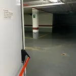 Estudio Alameda *